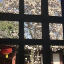 成都旅游 缩略图 11