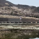 青岛旅游 缩略图 3