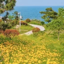 青岛旅游 缩略图 6