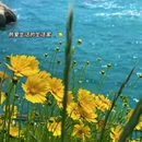 青岛旅游 缩略图 7
