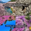 青岛旅游 缩略图 4