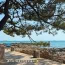 青岛旅游 缩略图 10