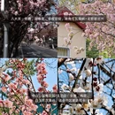 青岛旅游 缩略图 3