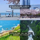 青岛旅游 缩略图 7