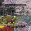青岛旅游 缩略图 5