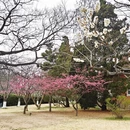 青岛旅游 缩略图 3
