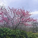 青岛旅游 缩略图 2