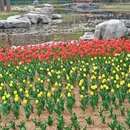 青岛旅游 缩略图 1