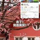 青岛旅游 缩略图 5
