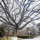 青岛旅游 缩略图 7