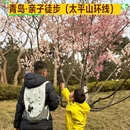 青岛旅游 缩略图 1