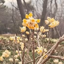 青岛旅游 缩略图 6