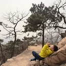 青岛旅游 缩略图 7
