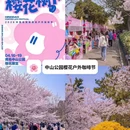 青岛旅游 缩略图 4