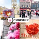 青岛旅游 缩略图 5