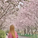 青岛旅游 缩略图 8