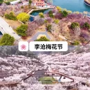 青岛旅游 缩略图 2