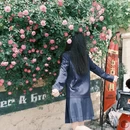 青岛旅游 缩略图 7