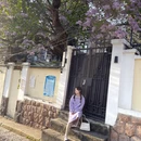 青岛旅游 缩略图 10