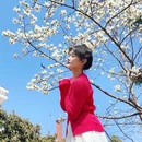 青岛旅游 缩略图 13