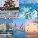 青岛旅游 缩略图 7