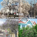 青岛旅游 缩略图 4