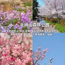 青岛旅游 缩略图 3