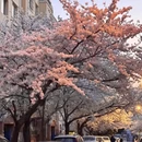 青岛旅游 缩略图 1