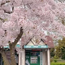 青岛旅游 缩略图 2