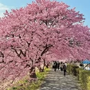 大连旅游 缩略图 5
