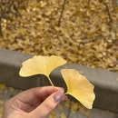 大连旅游 缩略图 4