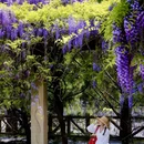 大连旅游 缩略图 15