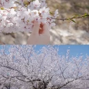大连旅游 缩略图 4
