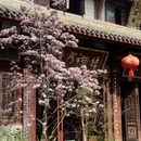 成都旅游 缩略图 6