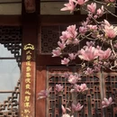 成都旅游 缩略图 5