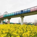 成都旅游 缩略图 2