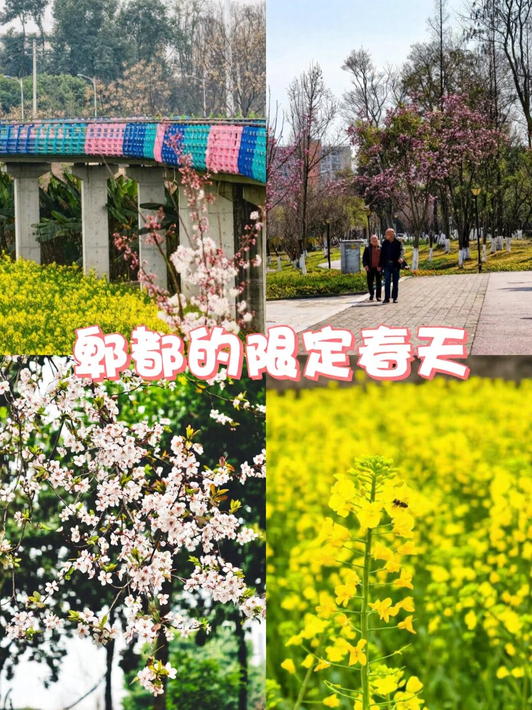 成都旅游