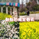 成都旅游 缩略图 1
