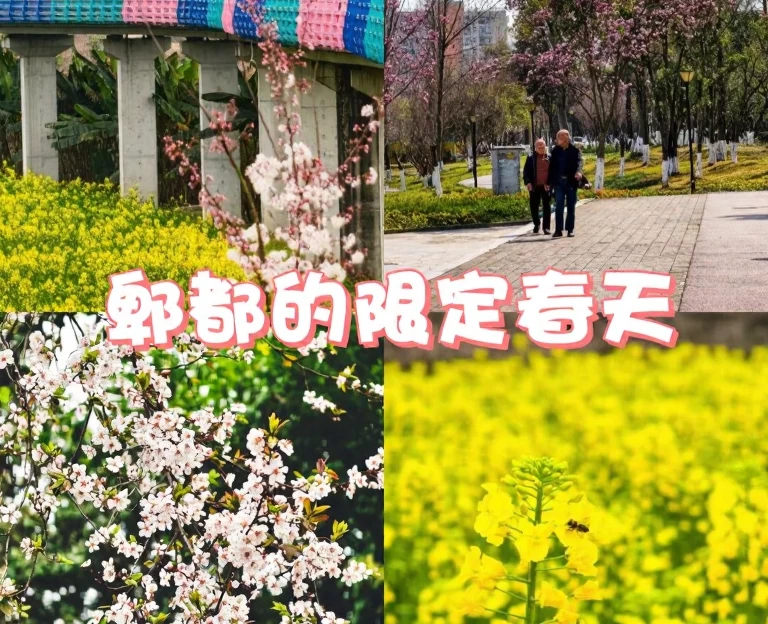 成都旅游 1