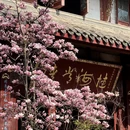 成都旅游 缩略图 7