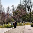 成都旅游 缩略图 8