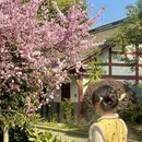 成都旅游 缩略图 13