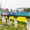成都旅游 缩略图 4