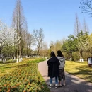 成都旅游 缩略图 7