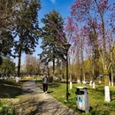 成都旅游 缩略图 14