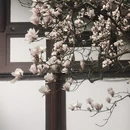 北京旅游 缩略图 3