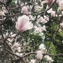 北京旅游 缩略图 4