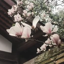 北京旅游 缩略图 1