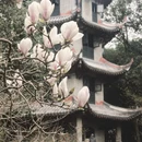 北京旅游 缩略图 6