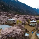 林芝旅游 缩略图 9